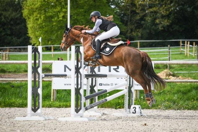Mare Origin Recorded For loan 2011 Liver chestnut