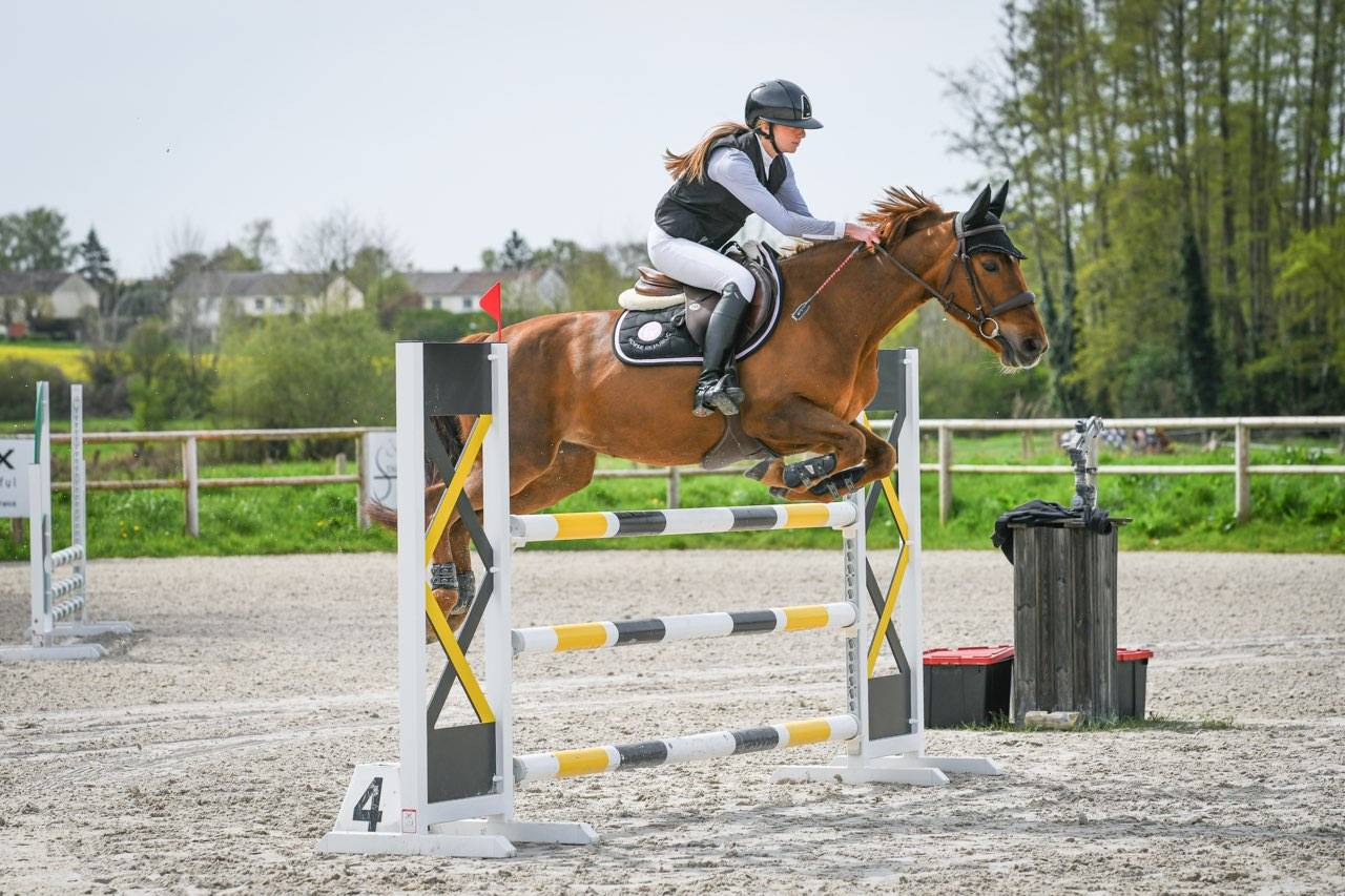 Mare Origin Recorded For loan 2011 Liver chestnut