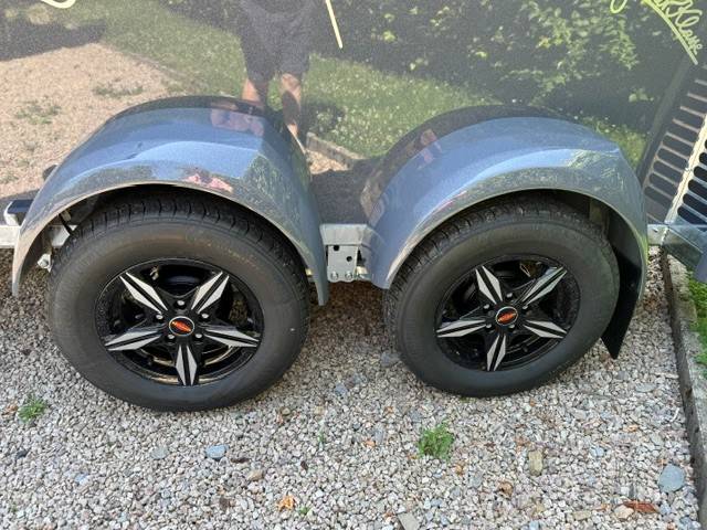 Horse trailer Bockmann MASTER  2 Stalls 2026 New