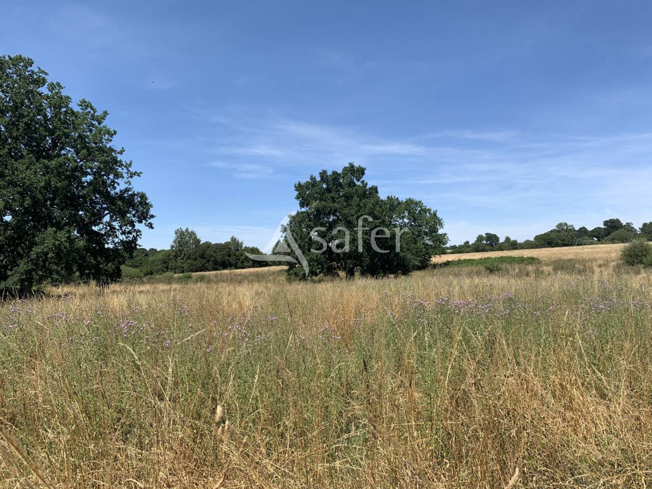 Other agricultural property  Orne