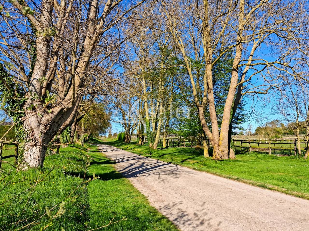 Equestrian property  Calvados