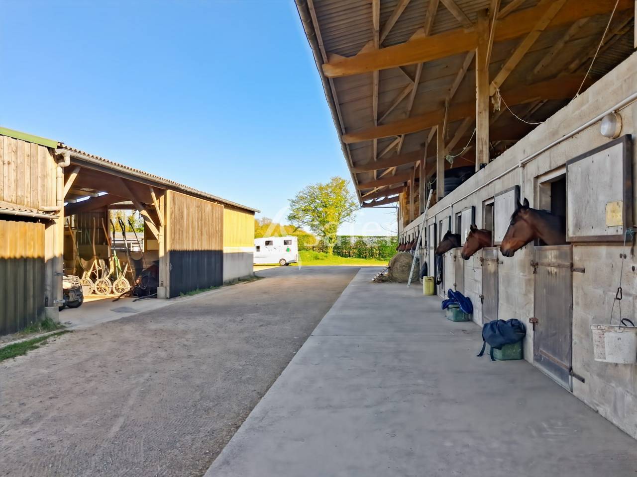 Equestrian property  Calvados
