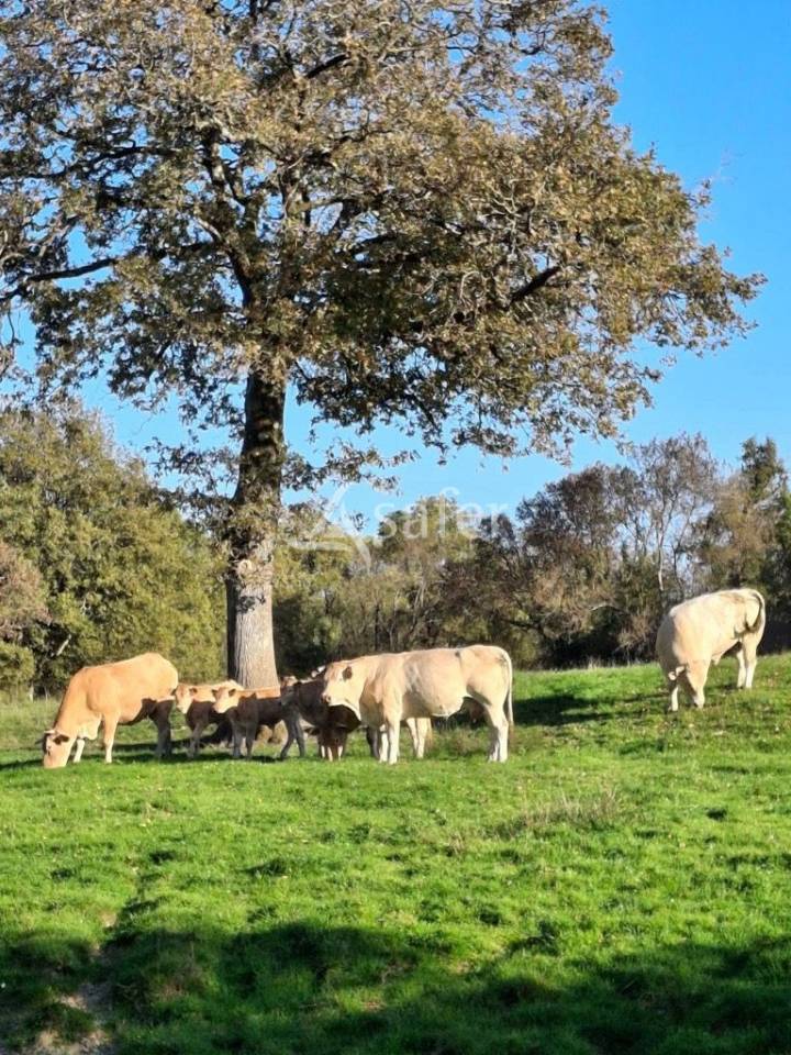 Other country property  Loire-Atlantique