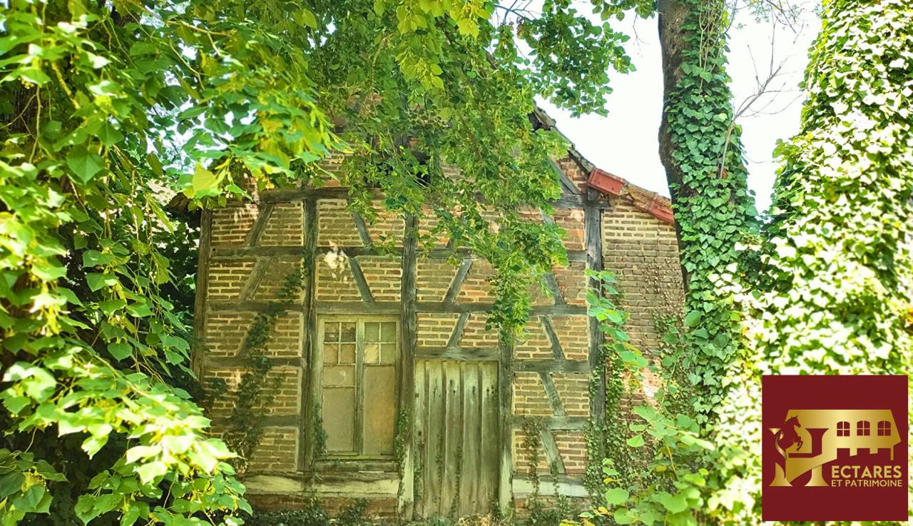Equestrian Bed and Breakfast  Sa&ocirc;ne-et-Loire