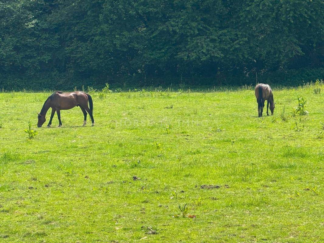Equestrian property  Seine-et-Marne