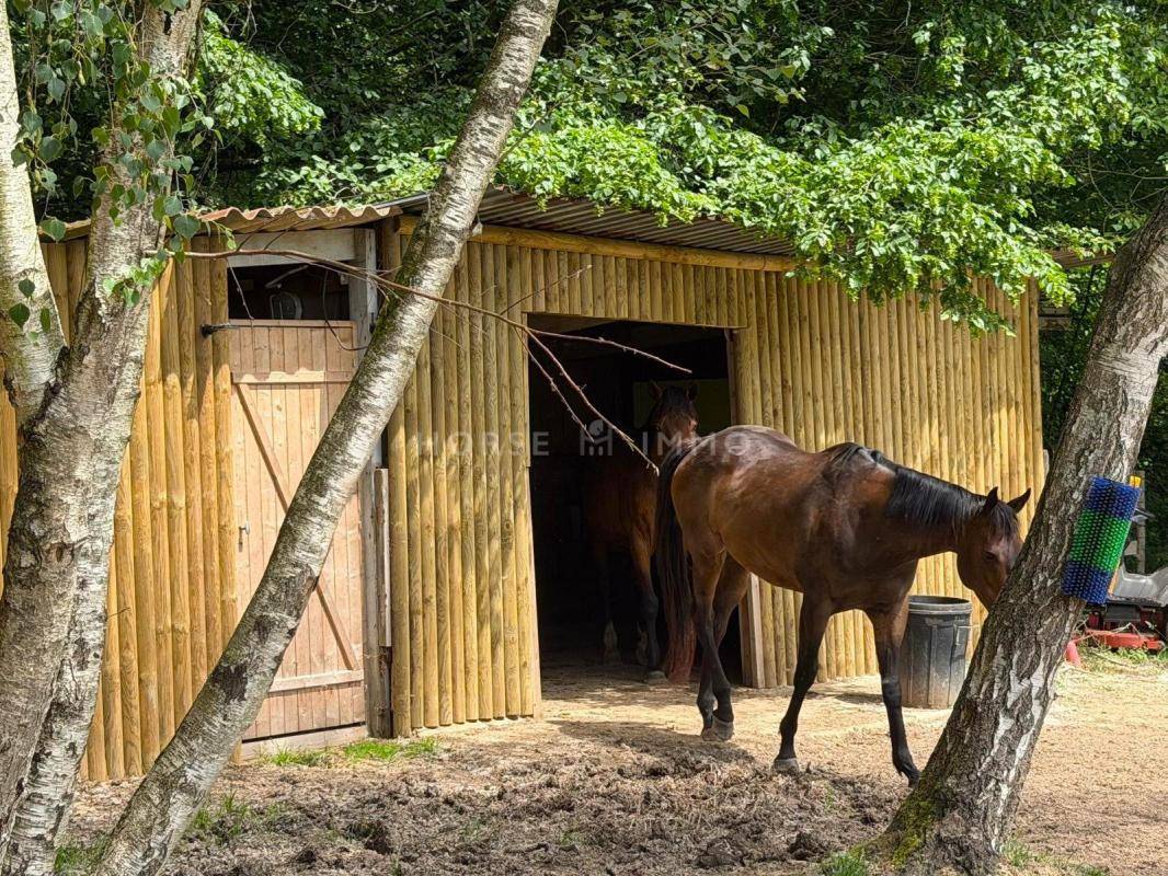 Equestrian property  Seine-et-Marne