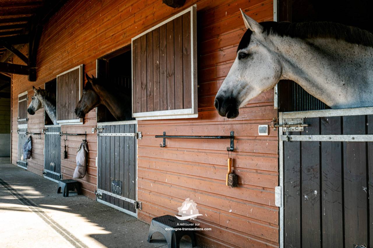 Equestrian property  Dordogne