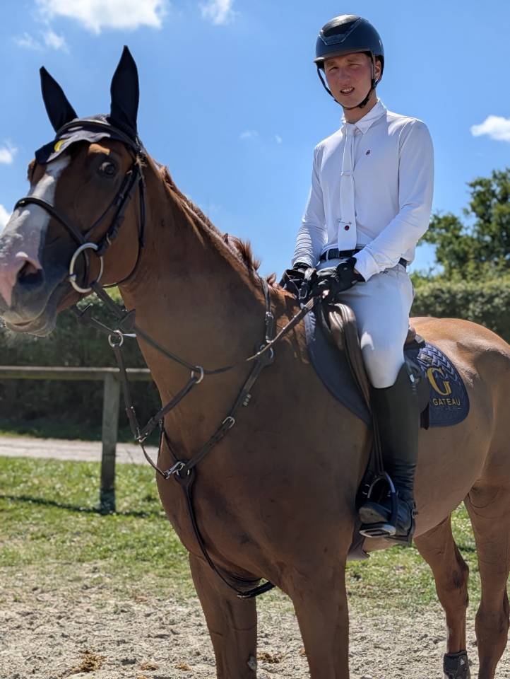 Mare Selle Fran&ccedil;ais For sale 2019 Liver chestnut