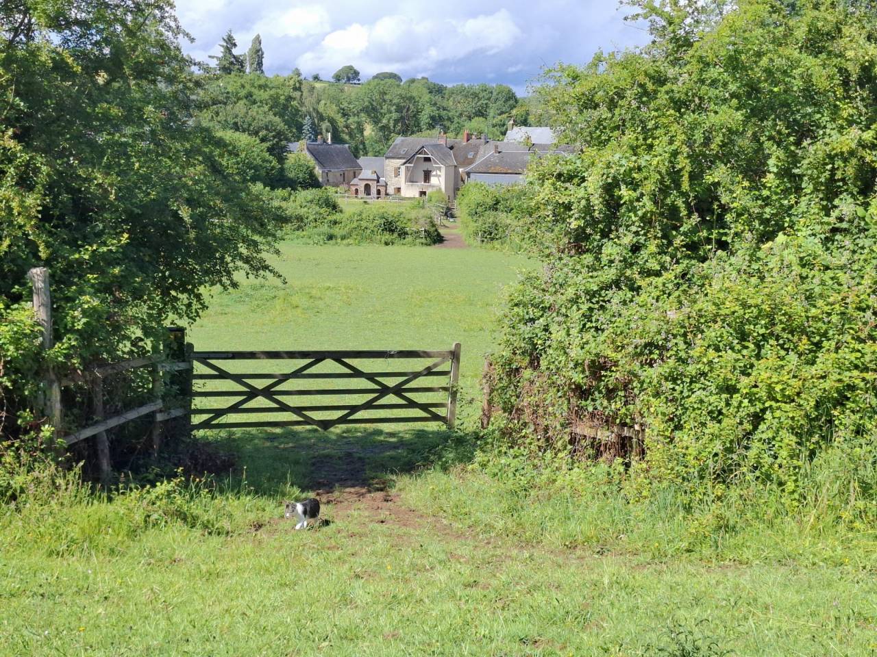 Livery yard  Mayenne