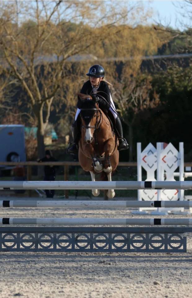 Mare French Saddle Pony For sale 2018 Chesnut