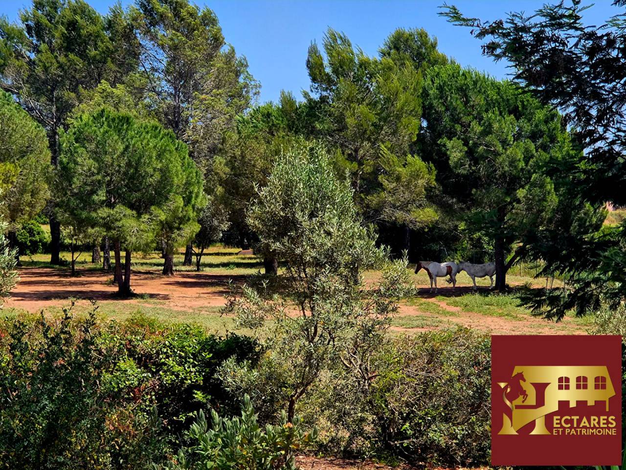 Equestrian property  Var