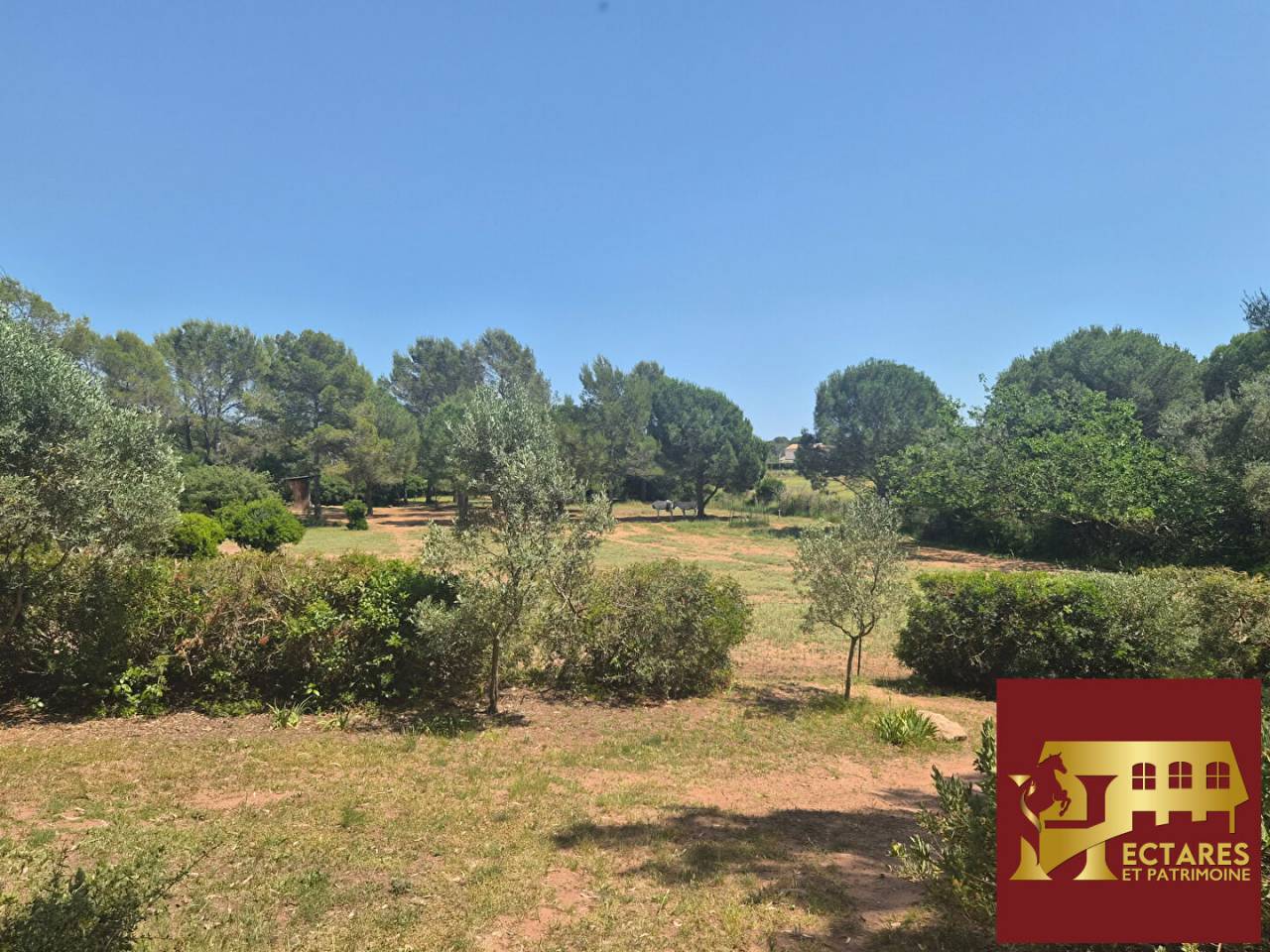 Equestrian property  Var