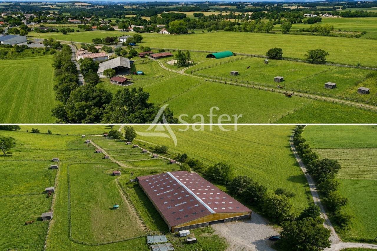 Equestrian property  tarn