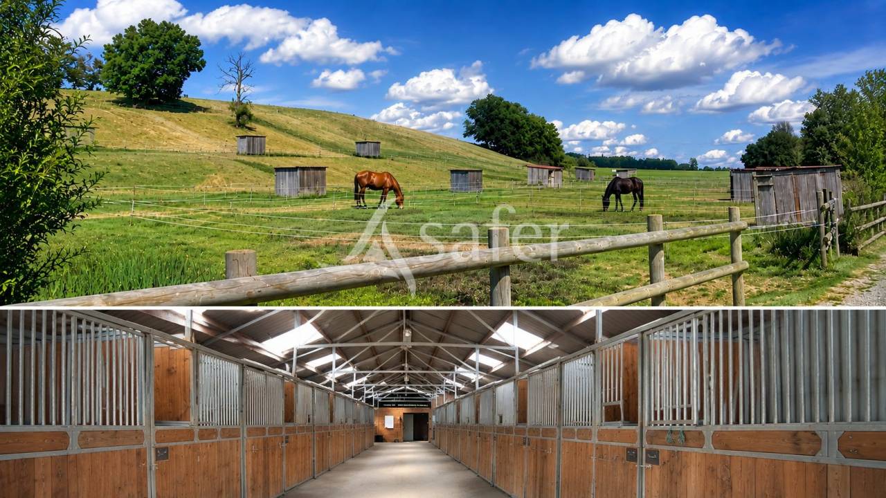 Equestrian property  tarn