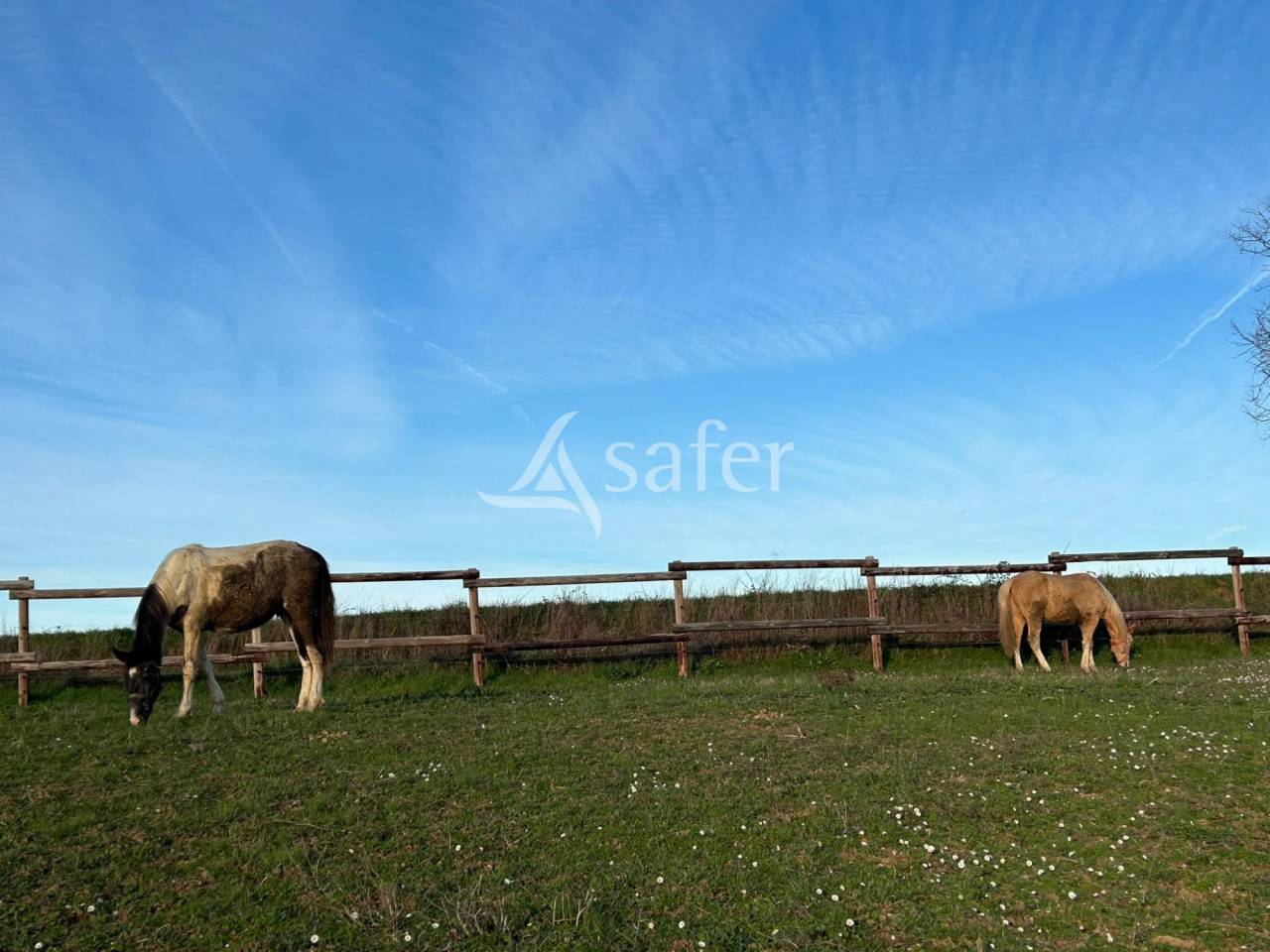 Equestrian property  tarn