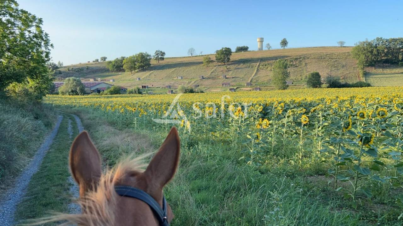 Equestrian property  tarn