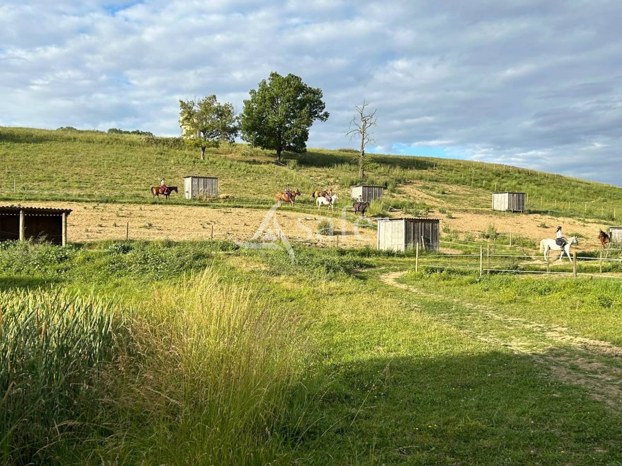 Equestrian property  tarn