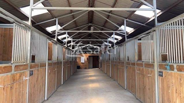 Equestrian property  tarn