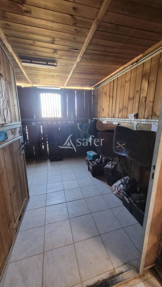 Equestrian property  tarn