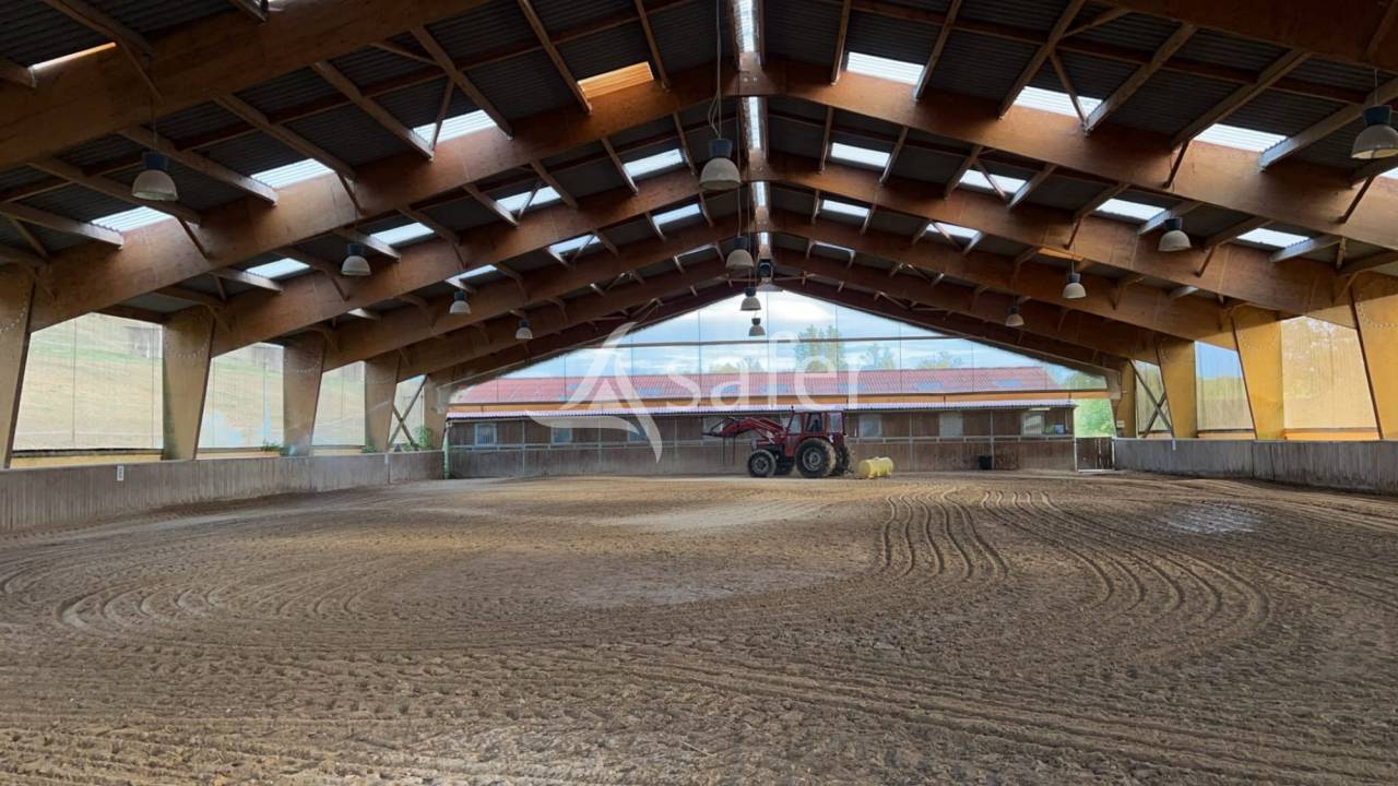 Equestrian property  tarn