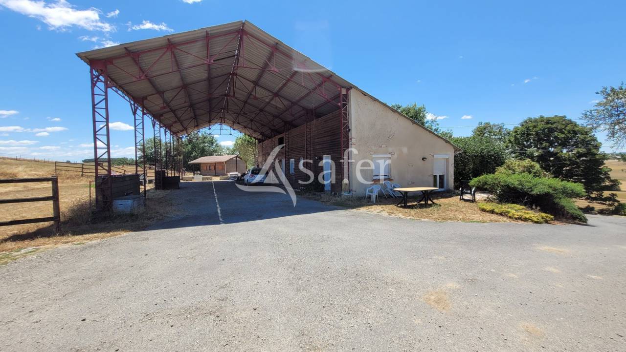 Equestrian property  tarn