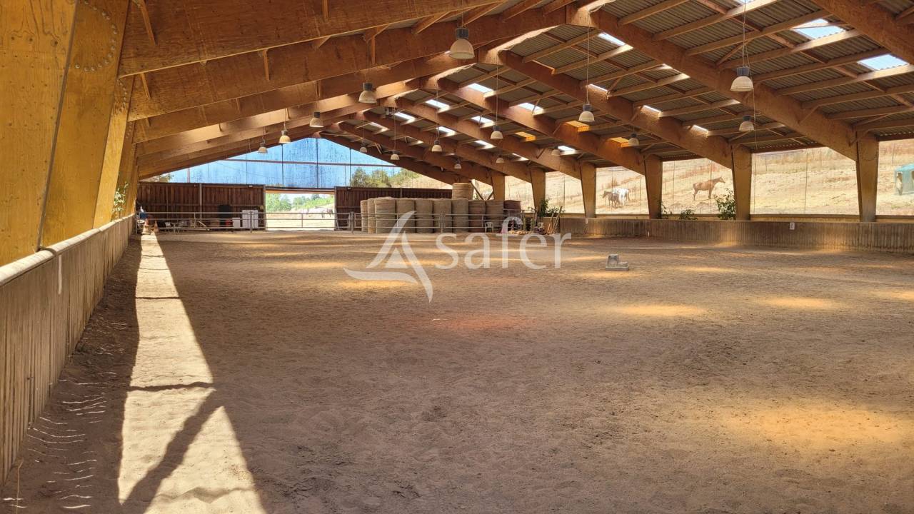 Equestrian property  tarn