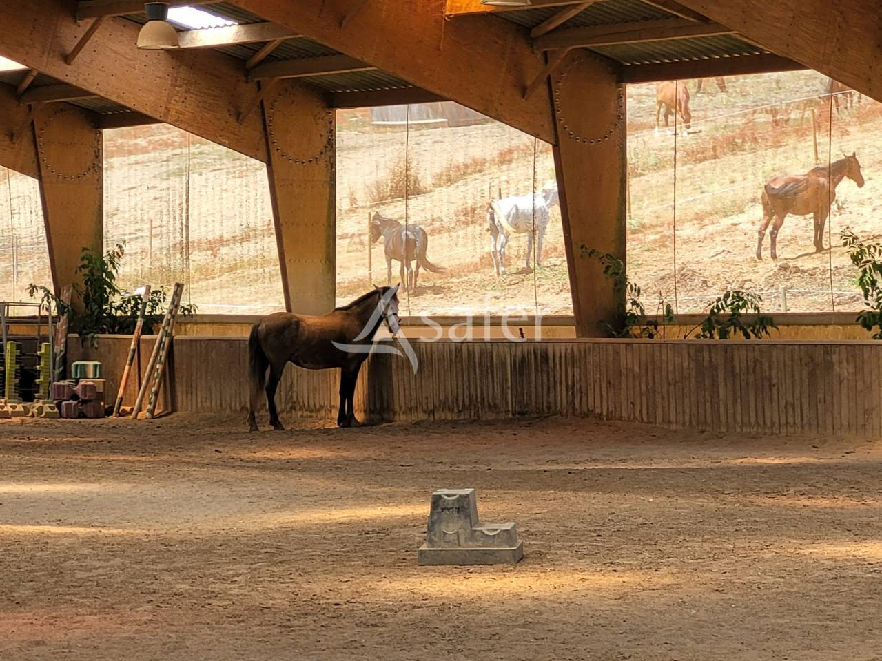 Equestrian property  tarn