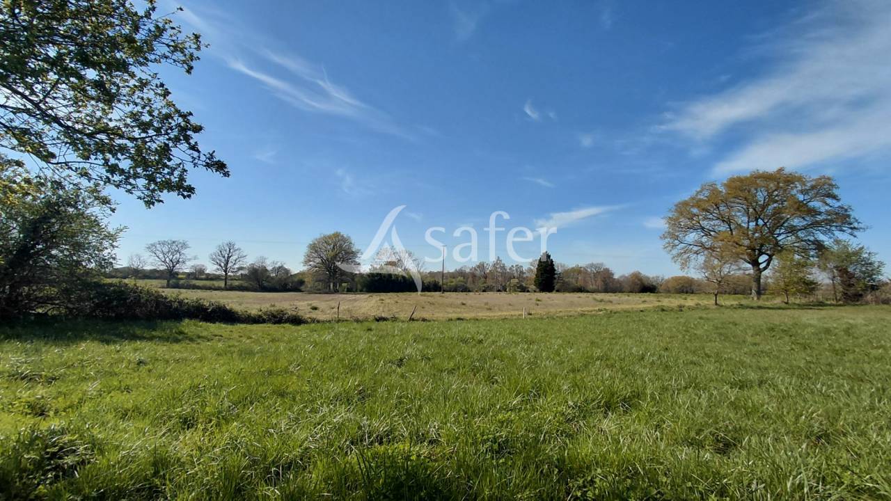 Other agricultural property  Vienne