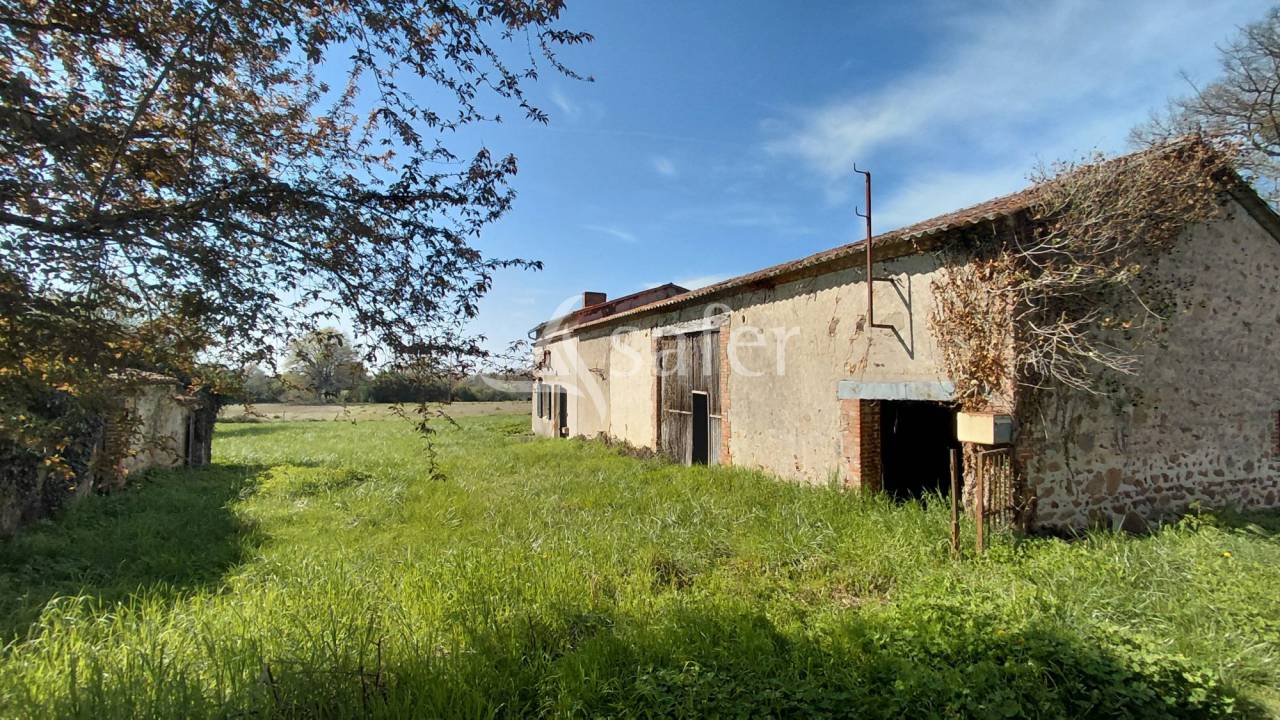 Other agricultural property  Vienne