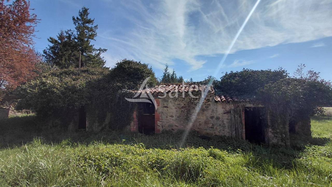 Other agricultural property  Vienne