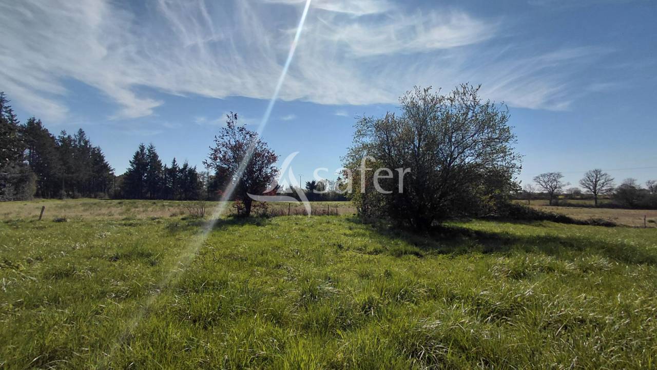 Other agricultural property  Vienne