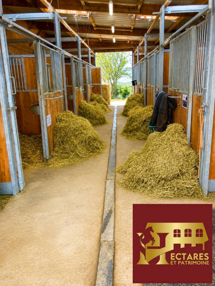 Livery yard  Loire-Atlantique