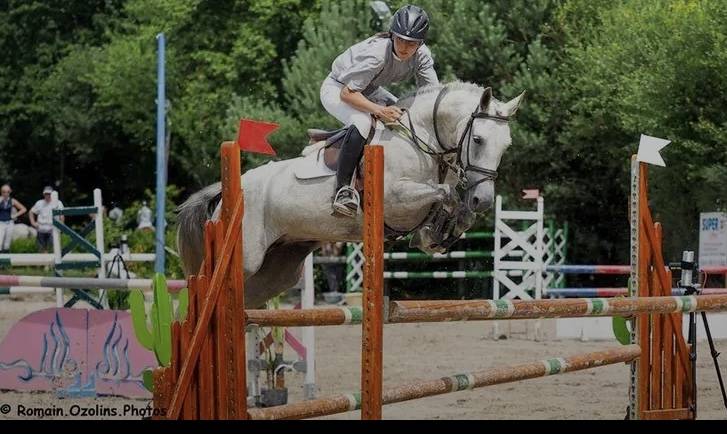 Filly French Saddle Pony For sale 2023 Grey