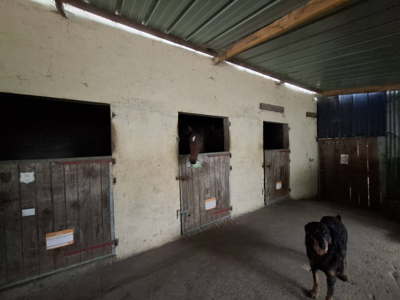 Livery yard  Sarthe