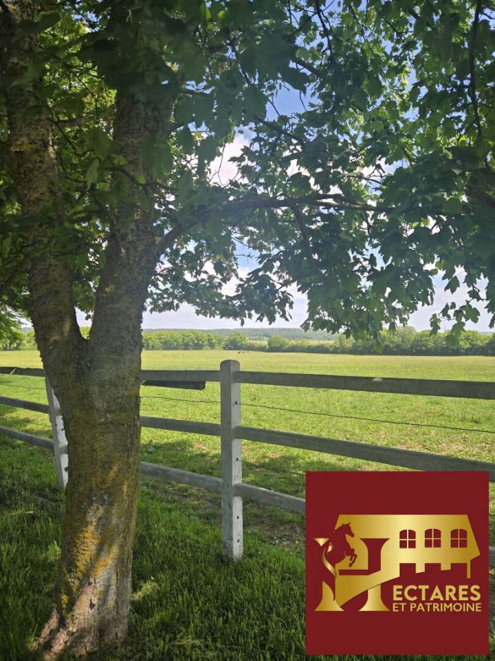 Stud farm  Orne