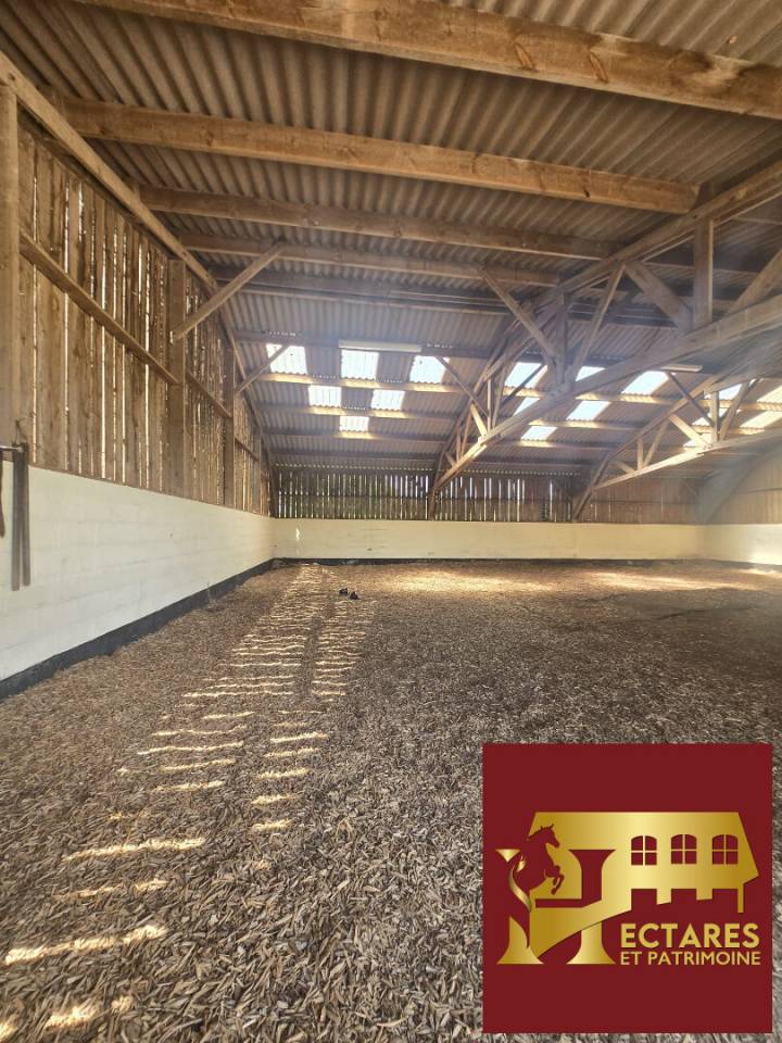 Stud farm  Orne