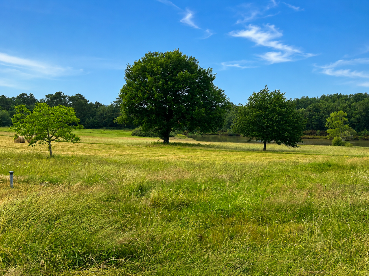 Equestrian property  Dordogne