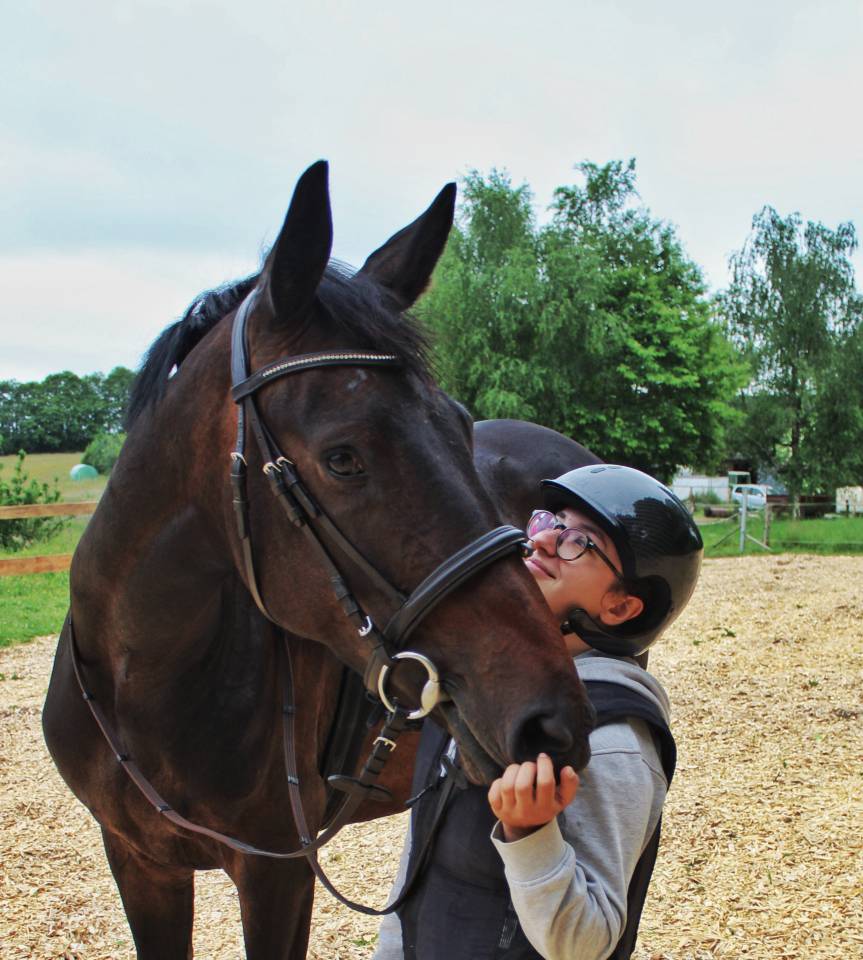 Mare Selle Fran&ccedil;ais Part-Livery 2021 Dark Bay