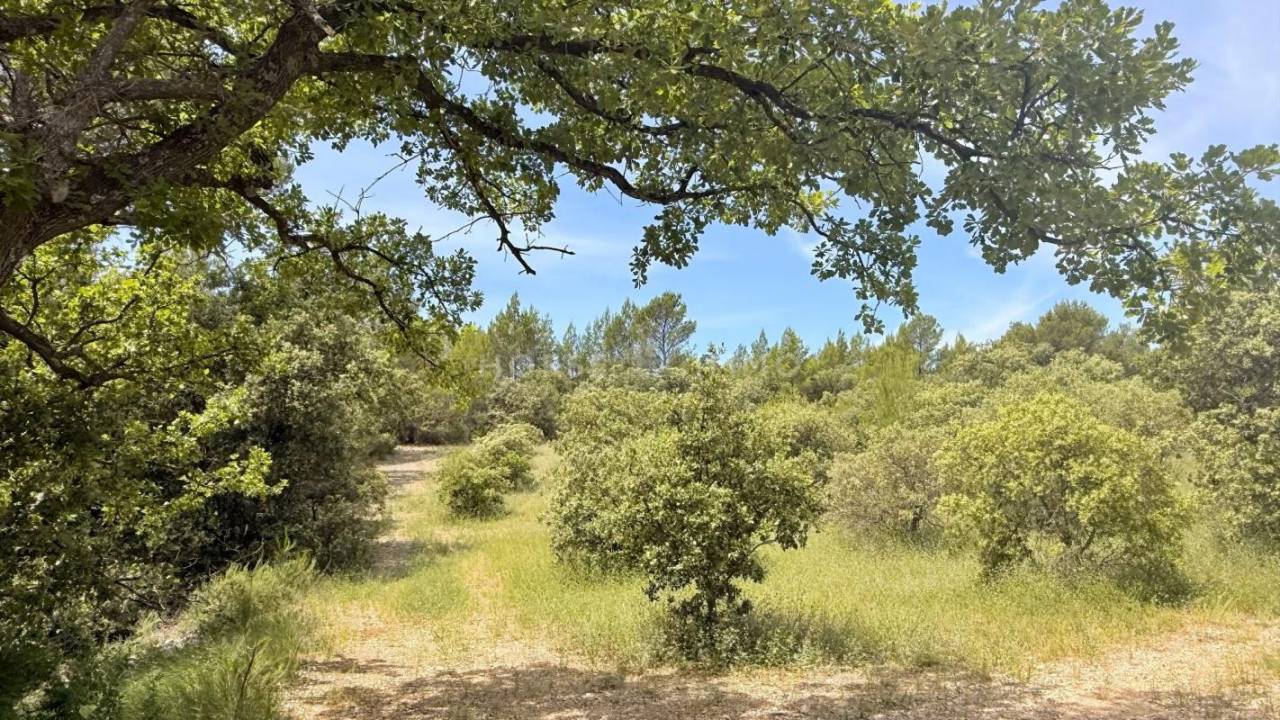 Equestrian property  Vaucluse