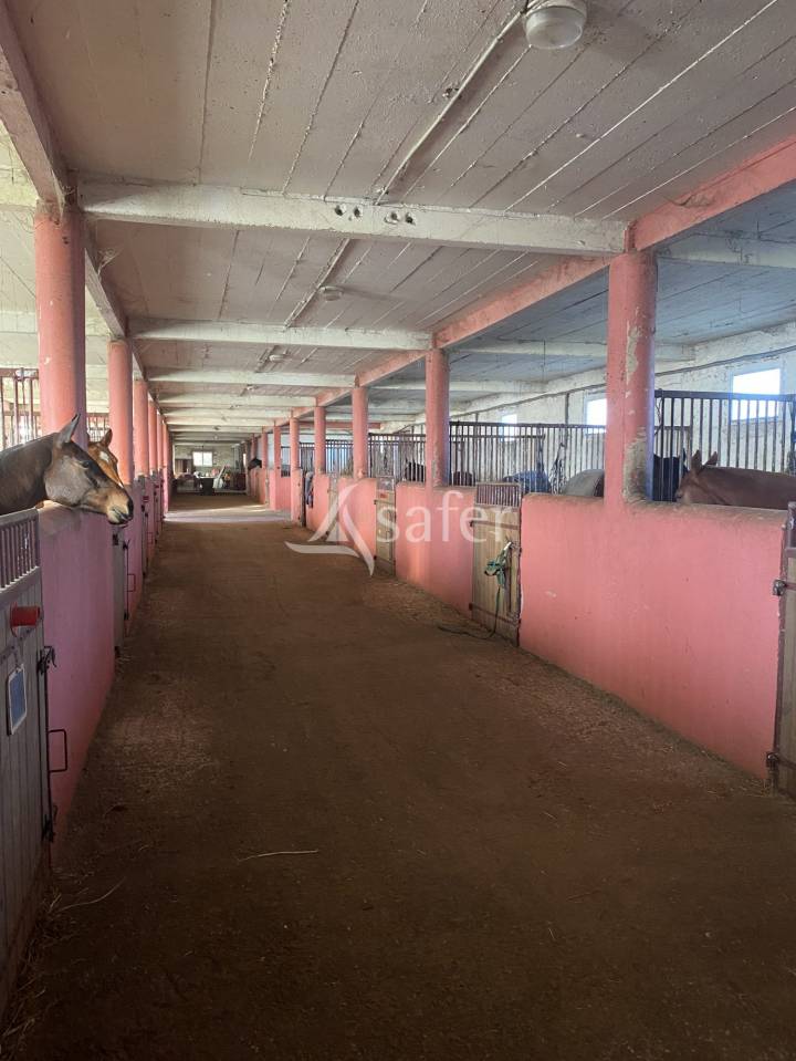 Equestrian property  Calvados