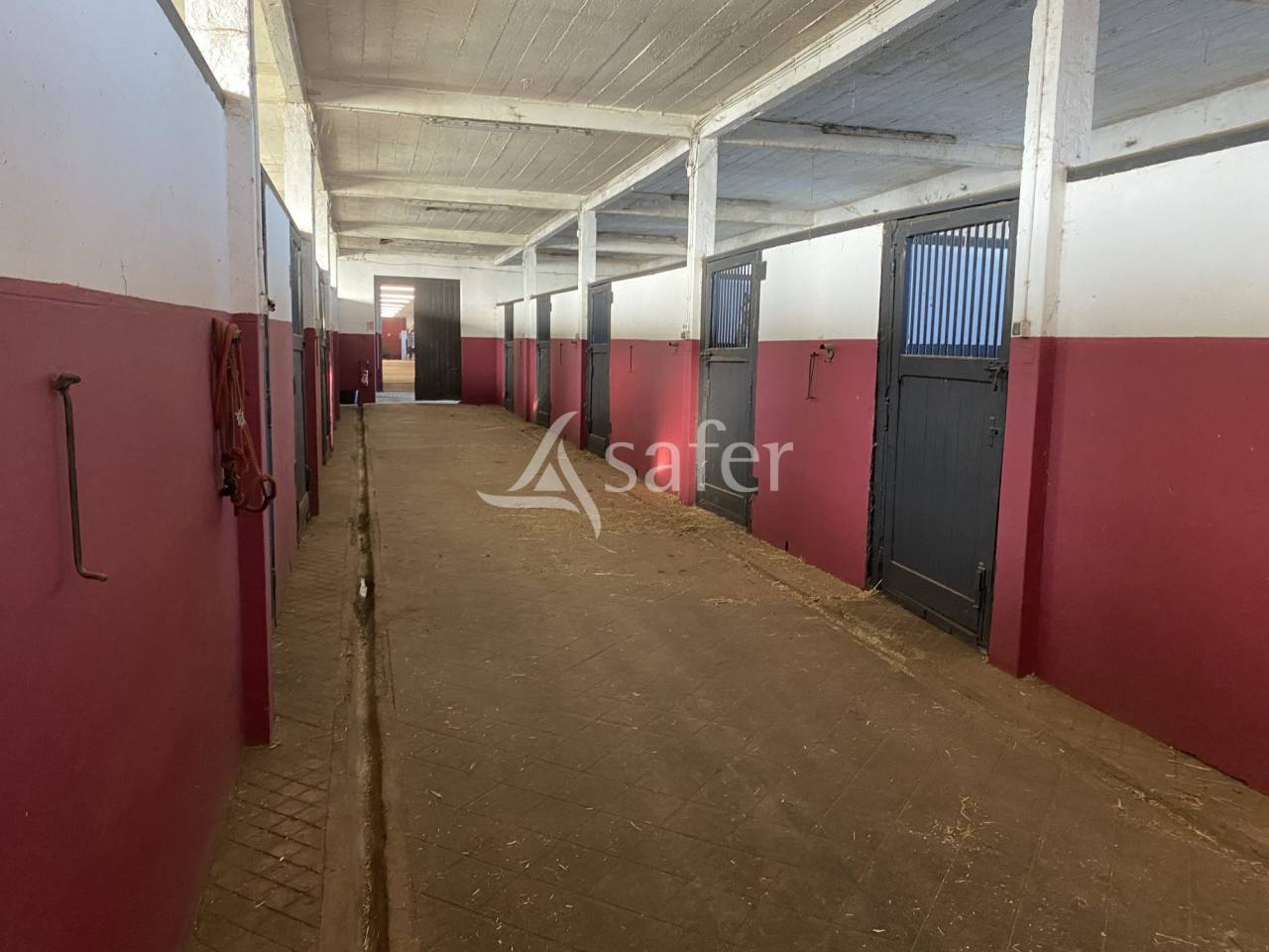 Equestrian property  Calvados