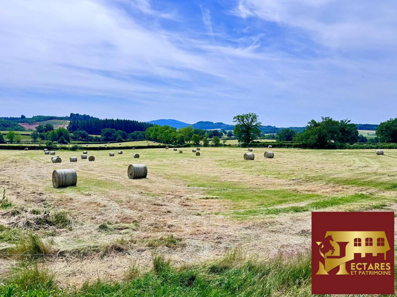 Equestrian Bed and Breakfast  Sa&ocirc;ne-et-Loire