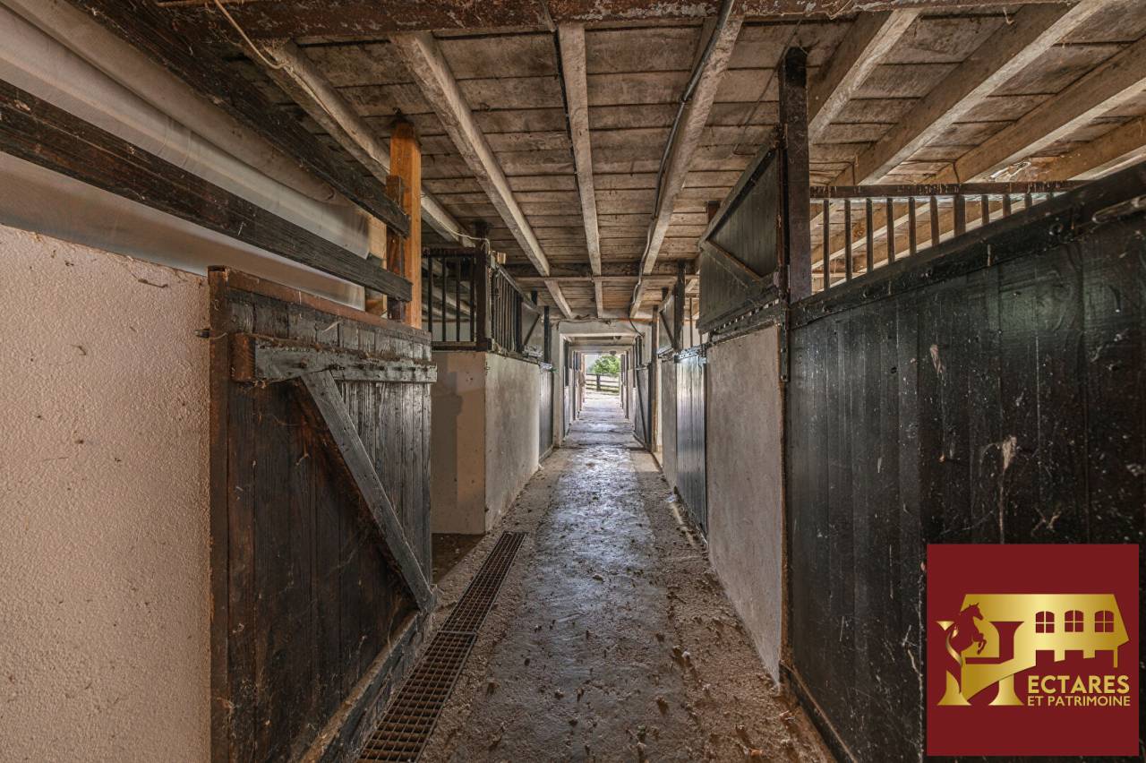 Equestrian Bed and Breakfast  Sa&ocirc;ne-et-Loire