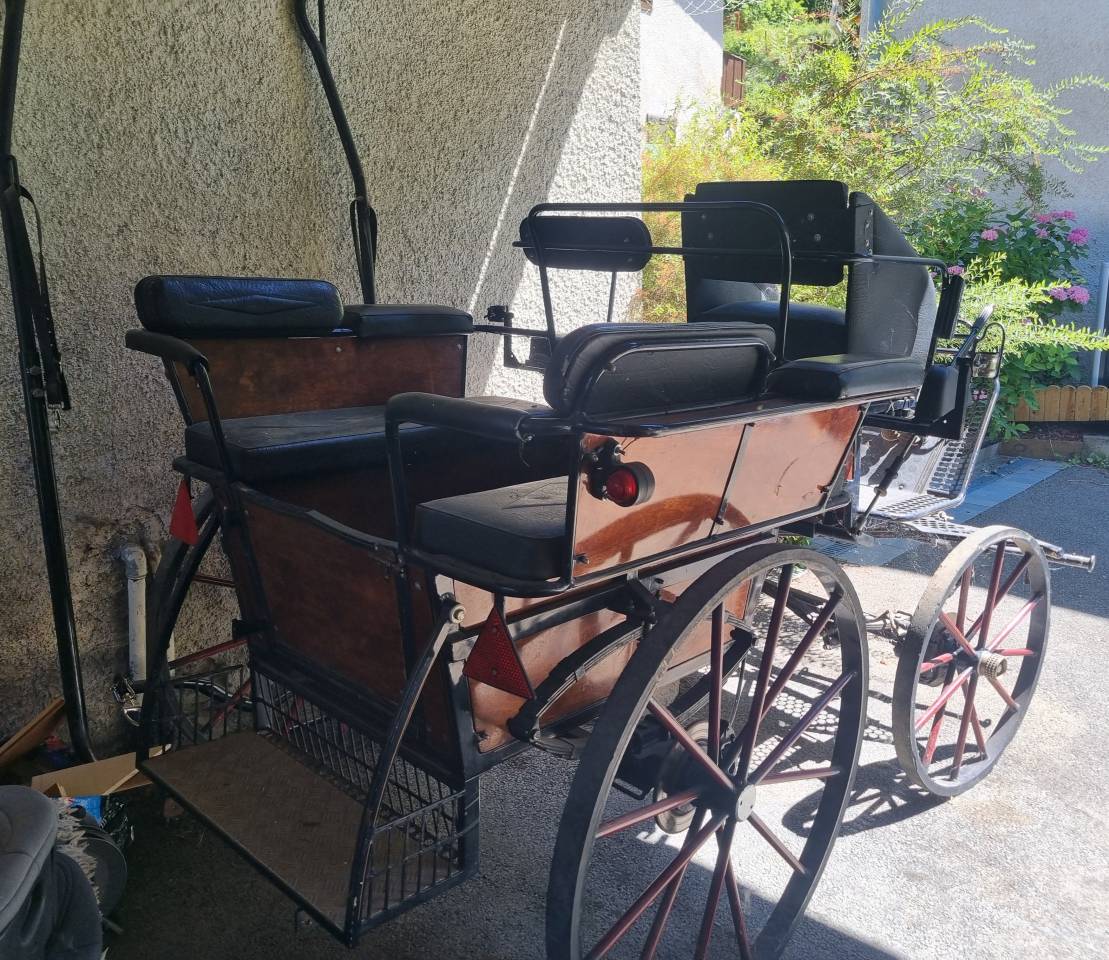 Carriage - Cal&egrave;che   