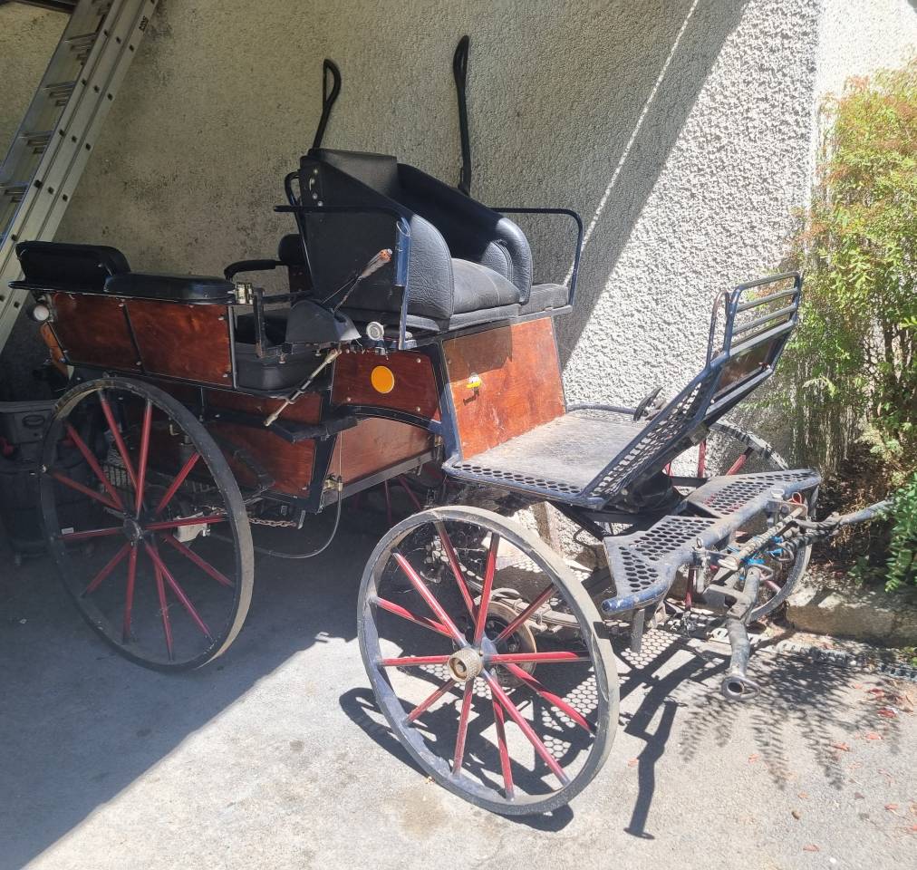 Carriage - Cal&egrave;che   
