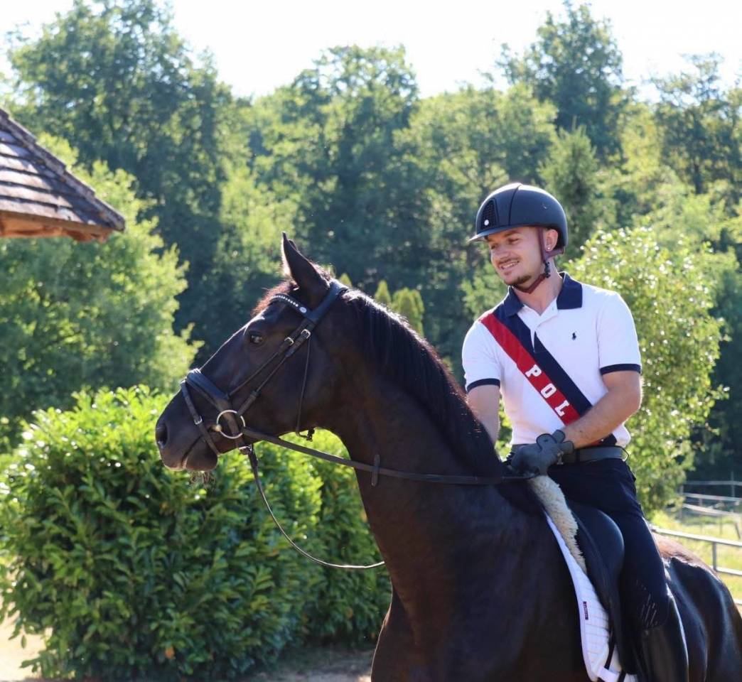 Gelding Hanoverian For sale 2022 Black