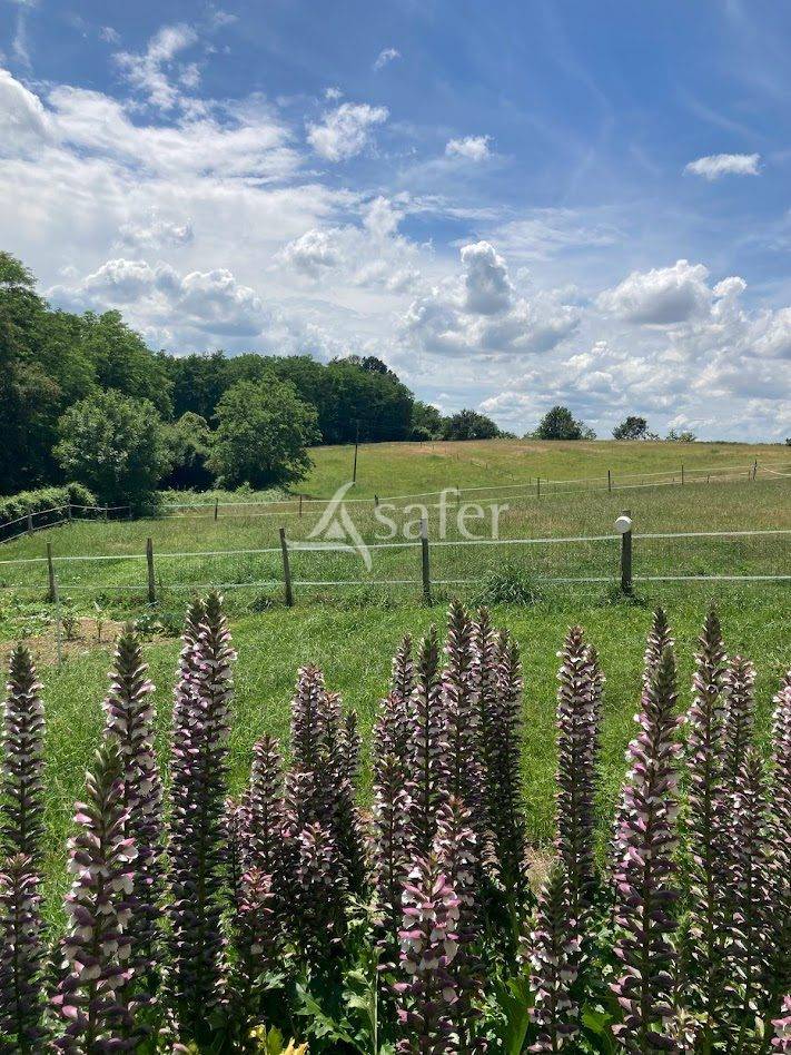 Other country property  Landes