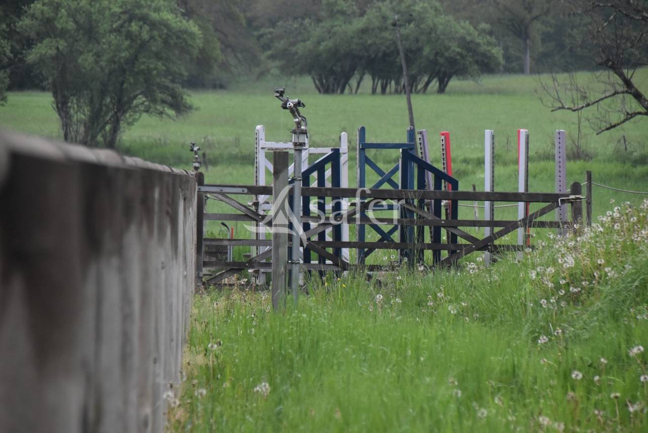 Other country property  Lot