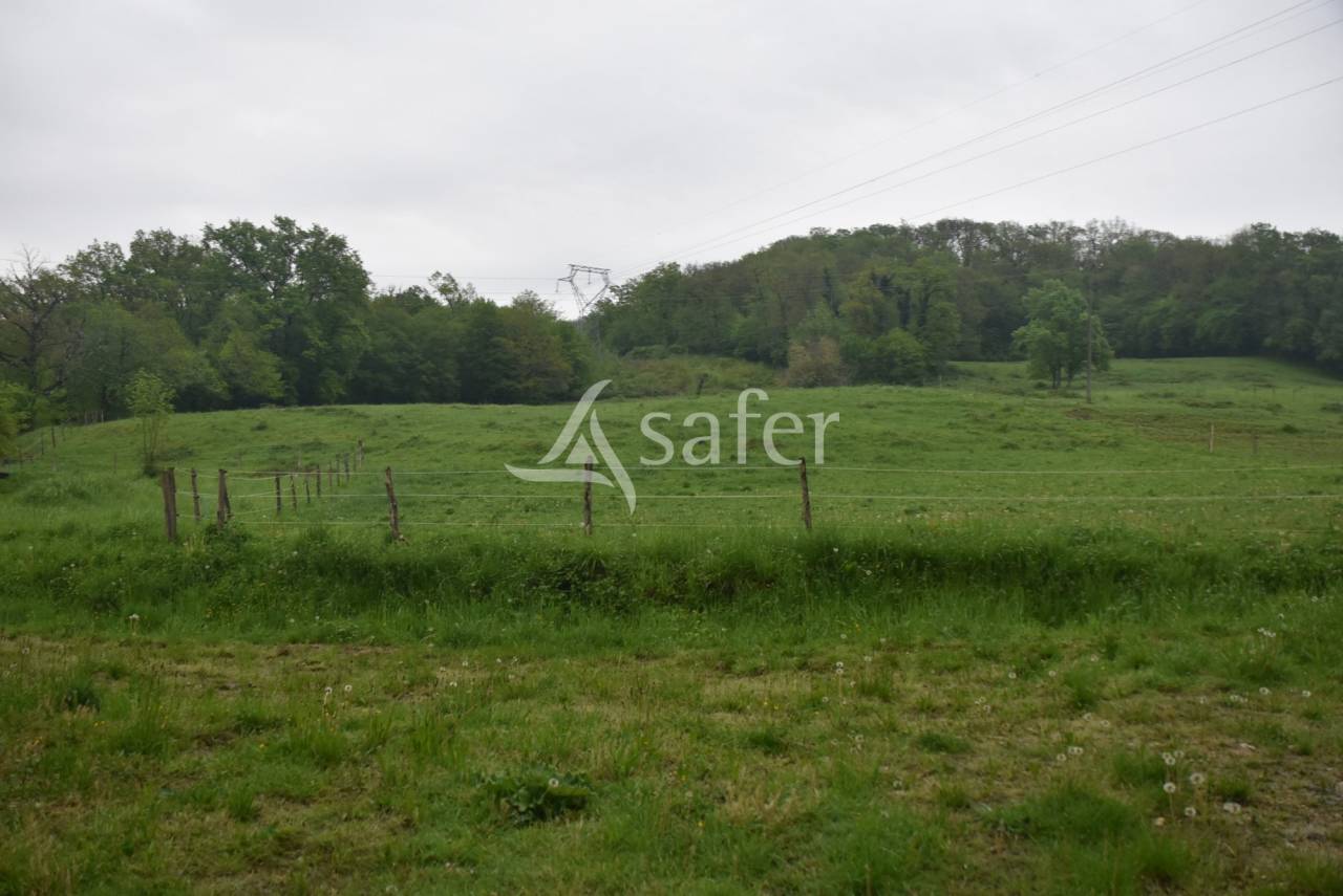 Other country property  Lot