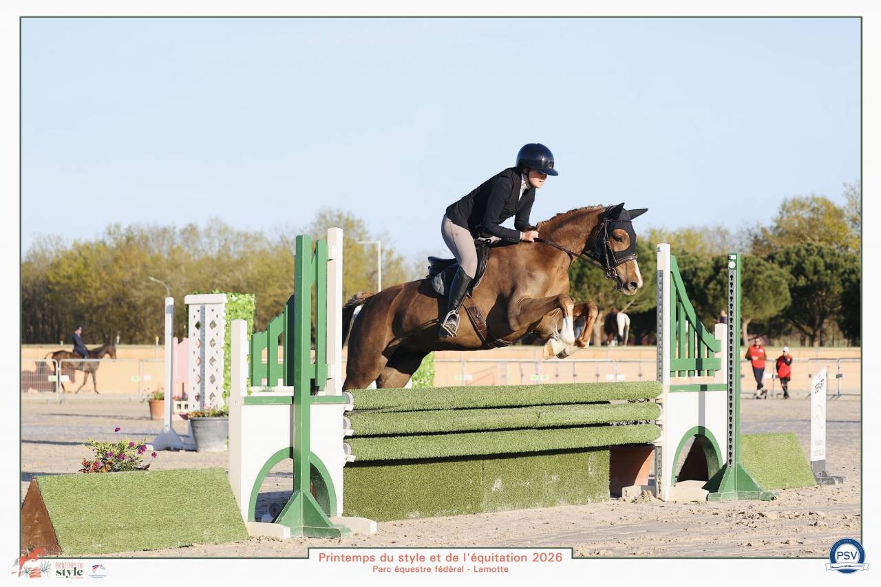 Mare French Saddle Pony For sale 2021 Chesnut